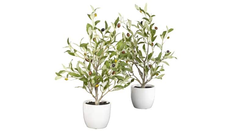 18" Olive Silk Tree w/Vase | Rental