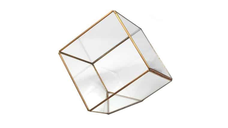 Gold Geometric Glass Terrarium Display Box, Tilted Cube, 6-Inch | Rental