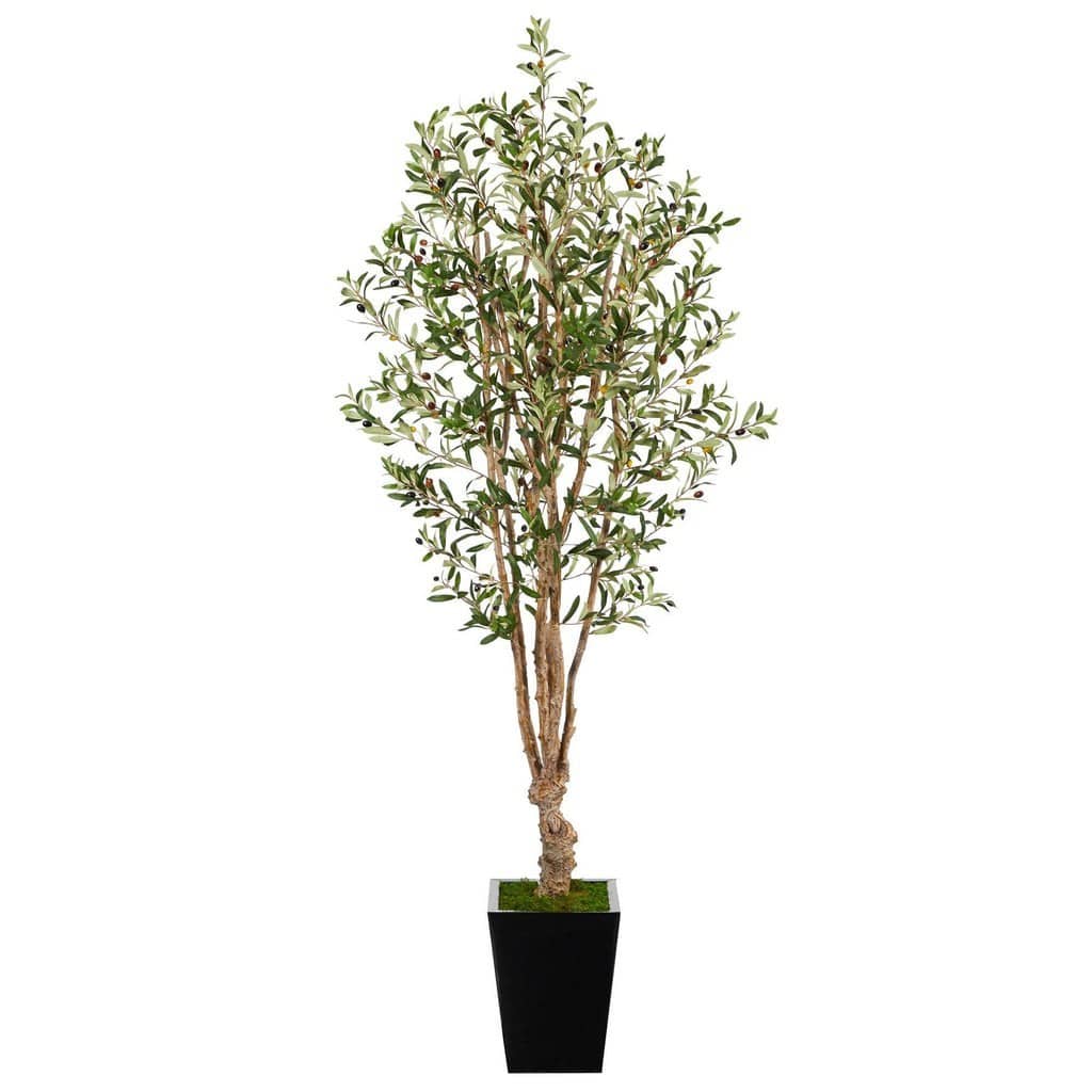 6.5’ Olive Artificial Tree in Black Metal Planter | Rental