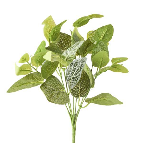 Decostar™ Artificial Fittonia Leaf Bunch - Green/White - 13" | Rental