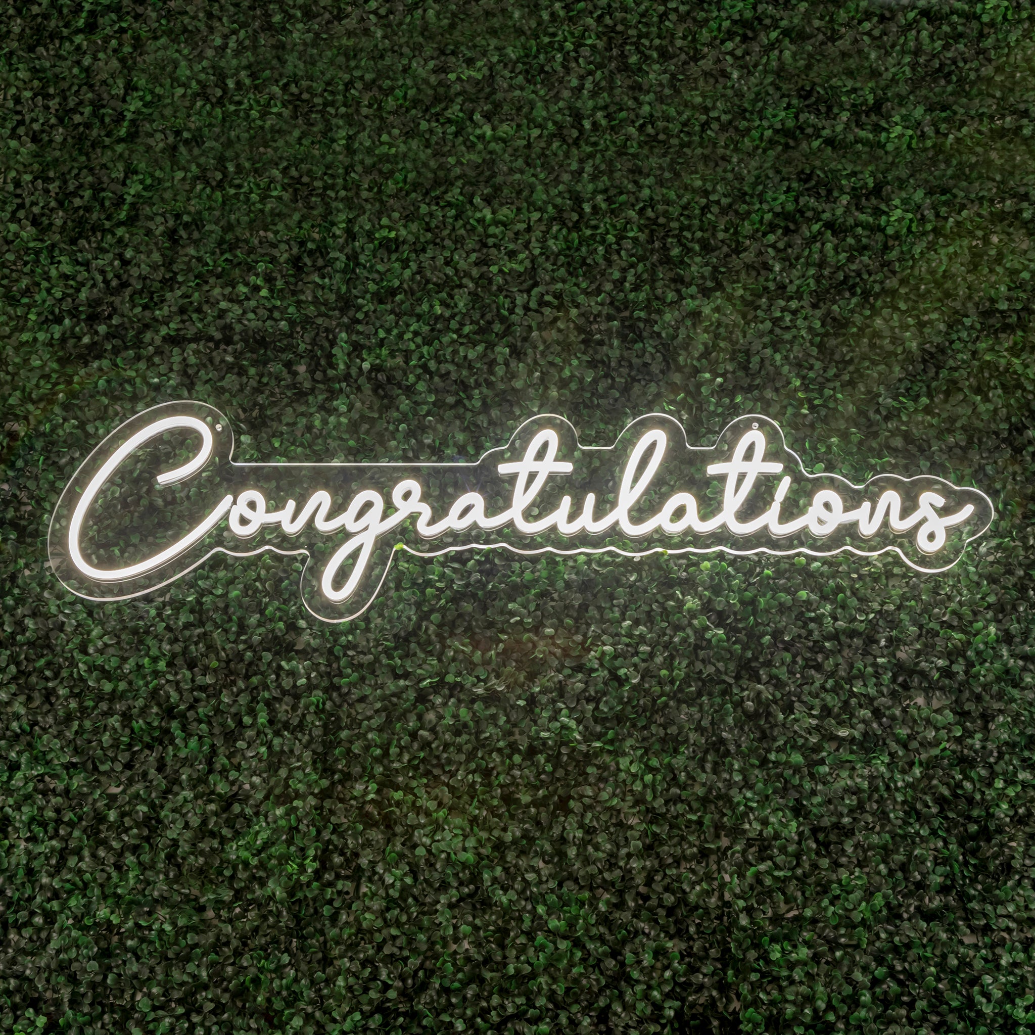 Congratulations LED Neon Sign | Rental