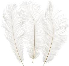 12" - 14" White Ostrich Feather | Rental