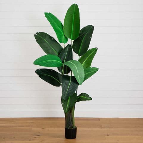 10’ Artificial Travelers Palm Tree | Rental